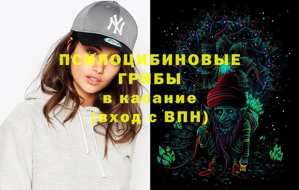 гашик Абинск