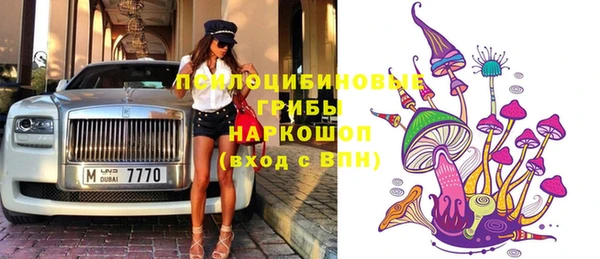 гашик Абинск