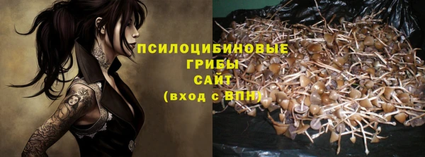 ECSTASY Абаза