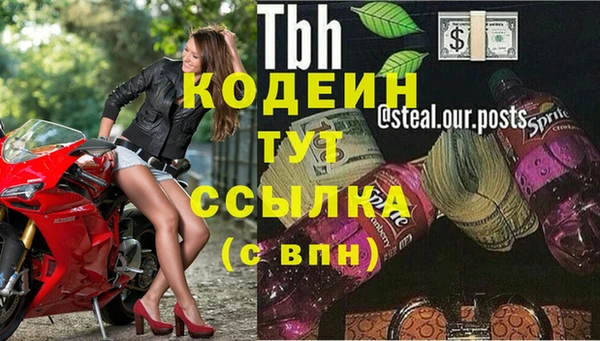 ECSTASY Абаза