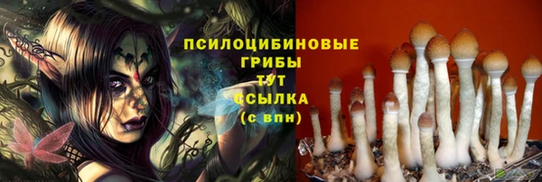 ECSTASY Абаза