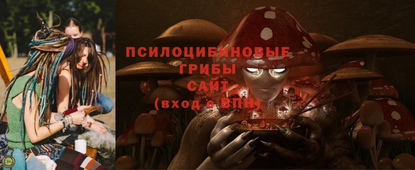 бошки Абдулино