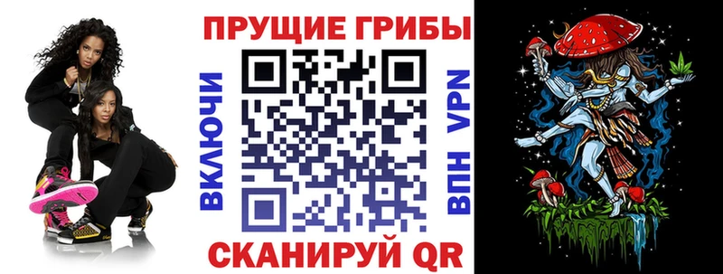 Псилоцибиновые грибы Cubensis  купить  сайты  Благовещенск 